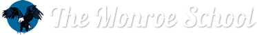 Feather Logo